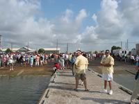 Desperado Boat Owners Gallery